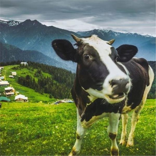 Bir Başka Karadeniz