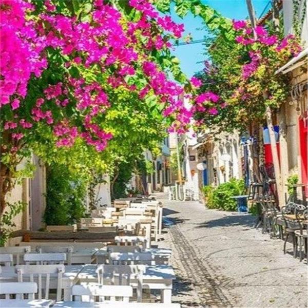 İzmir'den Kalkışlı Günübirlik Seferihisar Teos Bademli Köyü Turu