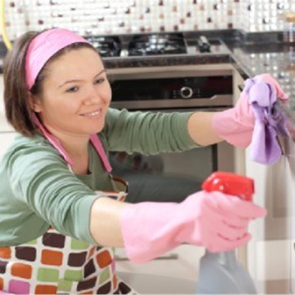 Profesyonel Tüm Gün Ev veya Ofis Temizliği