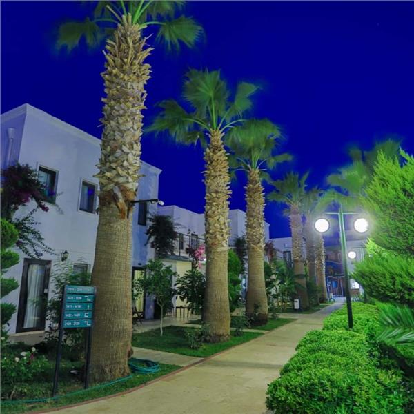 İzmir'den Ulaşımlı 3 Gece 4 Gün 4* Anadolu Hotel Her Şey Dahil Konaklama