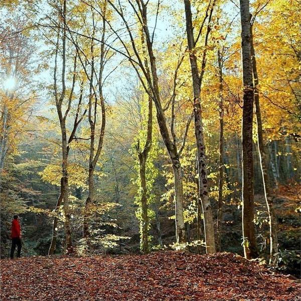 İzmir Çıkışlı 2 gece 3 gün Yenice'den Karabük'e Tren ile Maşukiye ile Safranbolu Hilton Konaklamalı, Batı Karadeniz Turu