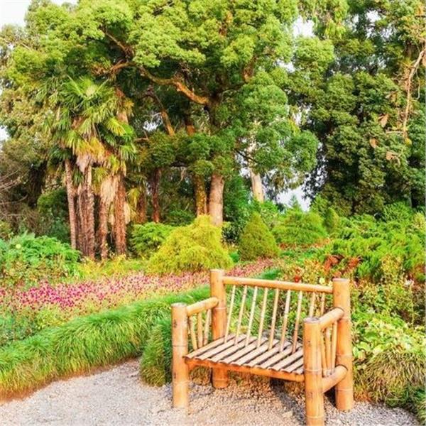 İzmir'den Uçaklı 4 gece 5 gün Konaklamalı Batum Tiflis Turu