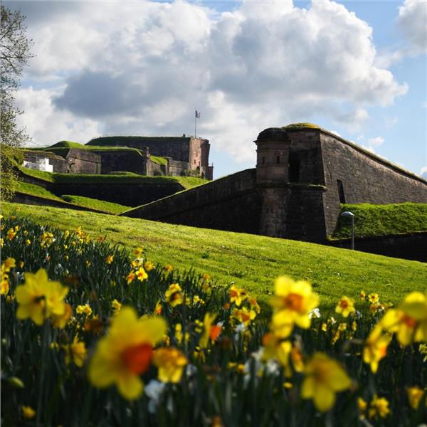 İzmir'den Uçaklı 6 Gece 7 Gün Konaklamalı Fransa İsviçre Almanya Rüyası Turu