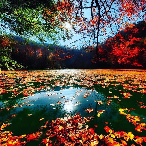 İzmir Çıkışlı 2 gece 3 gün Konaklamalı Şile, Ağva, Ormanya, Maşukiye, Abant, Sapanca Gölü, Yedigöller, Amasra ve Safranbolu ile Batı Karadeniz Turu