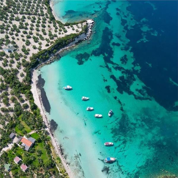 Gün Boyu Yüzme molalı Öğle Yemeği dahil Dikili Tekne Turu 799 TL. İzmir'den Servisli 1.499 TL