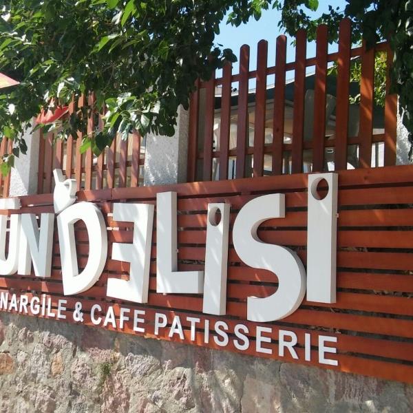 üstsüz türk ünlü ponro türk