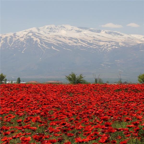 İzmir'den Uçaklı 4 Gece 5 Gün Konaklamalı Malatya Tunceli Elazığ Kemaliye Sivas Turu