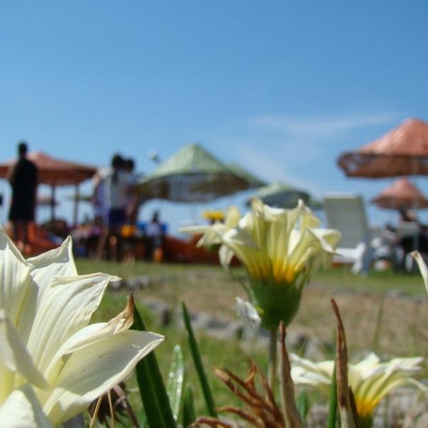 Çeşme Günizi Beach’de Harika Bir Gün Sizi Bekliyor