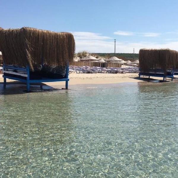 Çeşme Dharma Beach Club Giriş ve Menüler