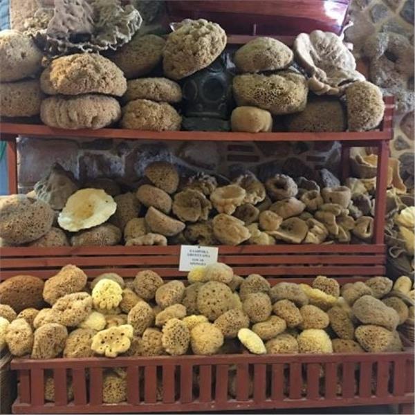 İzmir'den Otobüs İle Çıkışlı 2 Gece 3 Gün Konaklamalı Kos, Kalymnos, Pserimos, Plati Turu