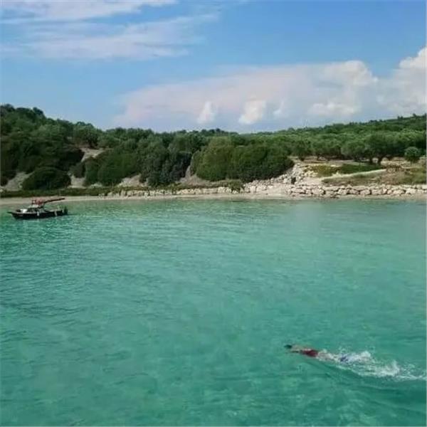 Gün Boyu Yüzme molalı Öğle Yemeği dahil Dikili Tekne Turu 799 TL. İzmir'den Servisli 1.499 TL