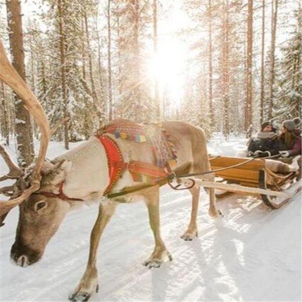 İzmir'den Uçaklı 4 Gece 5 Gün Konaklamalı Kuzey'in Büyülü Işıklarına Yolculuk Lapland Turu