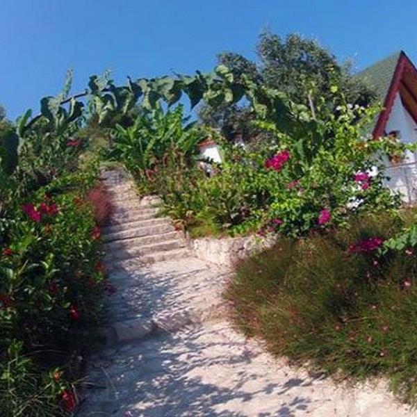 Mordoğan Ayıbalığı Seal Beach 2 Kişi Konaklama, Kahvaltı ve Beach Keyfi