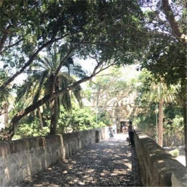 İzmir'den Otobüs İle Çıkışlı 2 Gece 3 Gün Konaklamalı Kos, Kalymnos, Pserimos, Plati Turu