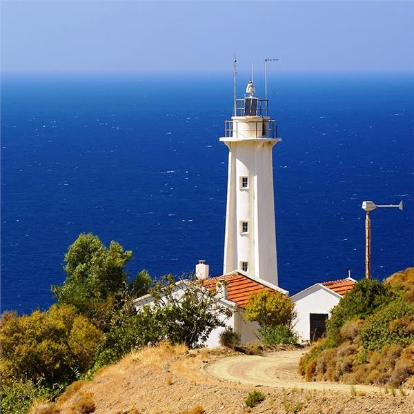 İzmir Kalkışlı 21 ve 22 Ocak'ta Günübirlik Karaburun Nergis Festivali Turu