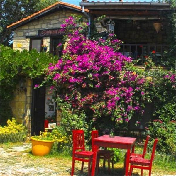 İzmir'den Çıkışlı 1 Gece 2 Gün Allia Thermal Hotel Konaklamalı Kazdağları ve Yeşilyurt Köyü Turu