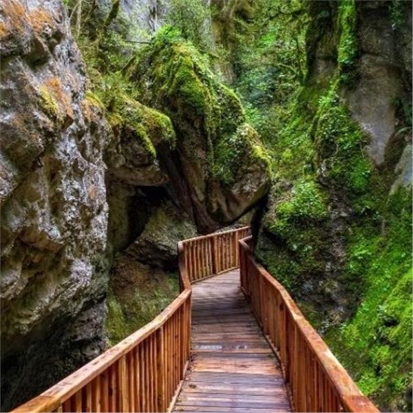 İzmir'den Kalkışlı Bayram Özel 2 Gece 3 Gün Konaklamalı Batı Karadeniz Turu