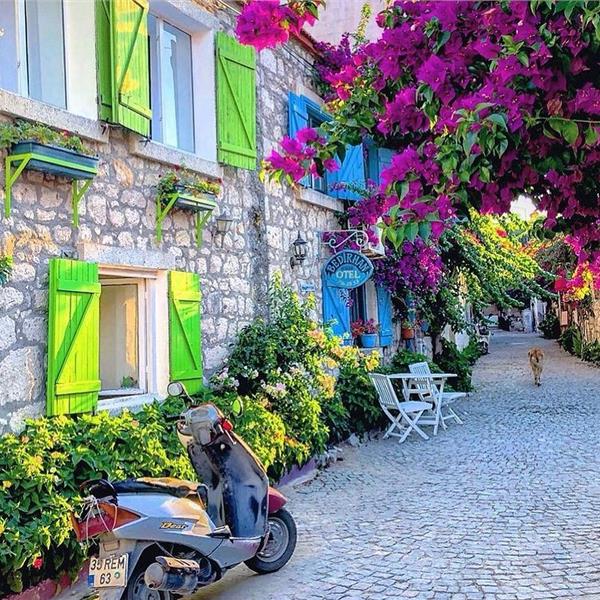 İzmir Çıkışlı Günübirlik Seferihisar Mandalina Festivali Turu.