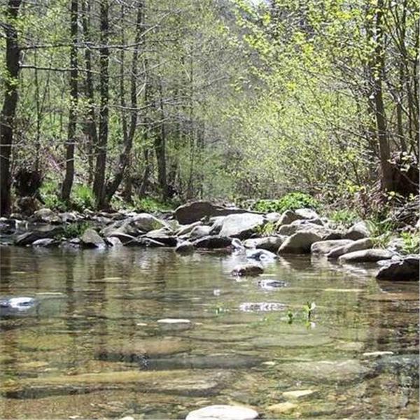 İzmir'den Çıkışlı 1 Gece 2 Gün Allia Thermal Hotel Konaklamalı Kazdağları ve Yeşilyurt Köyü Turu