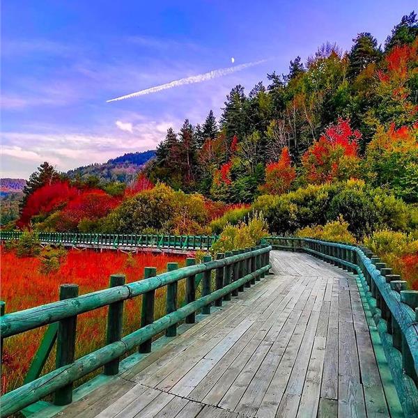 Abant, Yedigöller, Gölcük, Maşukiye, Hobbit Evleri Ormanya, Batı Karadeniz Turu