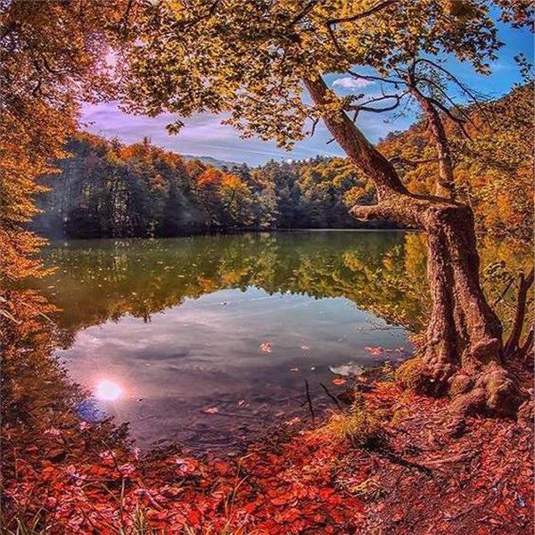 İzmir Çıkışlı 2 gece 3 gün Konaklamalı Şile, Ağva, Ormanya, Maşukiye, Abant, Sapanca Gölü, Yedigöller, Amasra ve Safranbolu ile Batı Karadeniz Turu