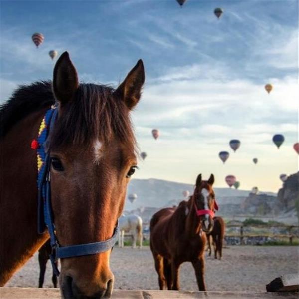 İzmir'den Uçak İle Hareketli Ramazan Bayramı Özel 2 Gece 3 Gün Konaklamalı Kapadokya Turu