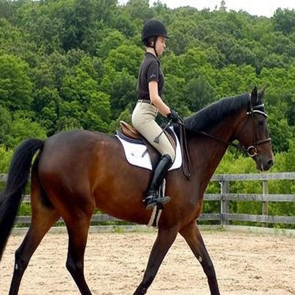 Menderes Atlıspor’da enfes lezzetler eşliğinde serpme kahvaltı ve at binme