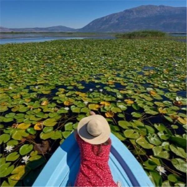 İzmir Çıkışlı Günübirlik Dünyanın En Büyük Nilüfer Tarlası İle Işıklı Gölü Turu