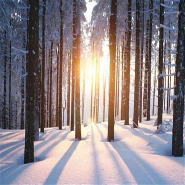 İzmir Çıkışlı 1 gece 2 gün 4*Hilton By Hampton Bolu Otel Konaklamalı Kartepe, Abant ve Uludağ ile 3'lü Kar Keyfi Turu