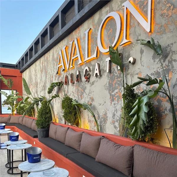 Günübirlik Kali Beach ve Avalon Alaçatı ile Çeşme Beach ve Eğlence Turu