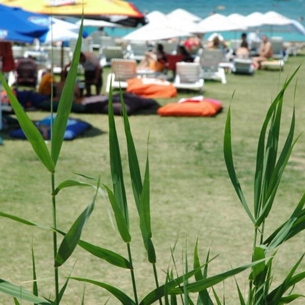 Çeşme Günizi Beach’de Harika Bir Gün Sizi Bekliyor