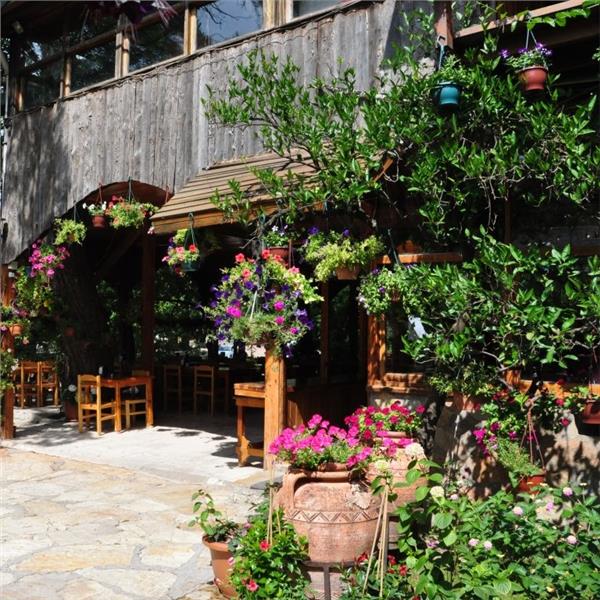 İzmir Çıkışlı 3 gece 4 gün Bungalow konaklamalı Olympos Tatil Turu. Kaputaj Plajı, Tekne Turu, Suluada, Phaselis, Adrasan ile Eğlence dolu bir tatil keyfi.