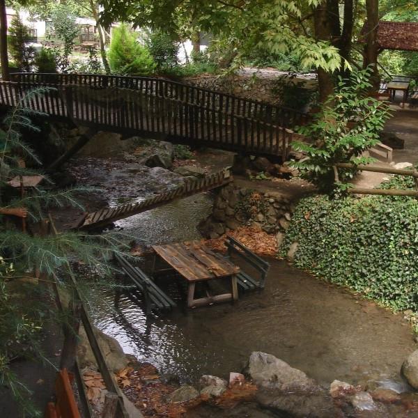 İzmir'den Otobüslü 1 Gece 2 Gün Konaklamalı Düzce Şelaleleri & Efteni Gölü & Akçakoca & Maşukiye Turu