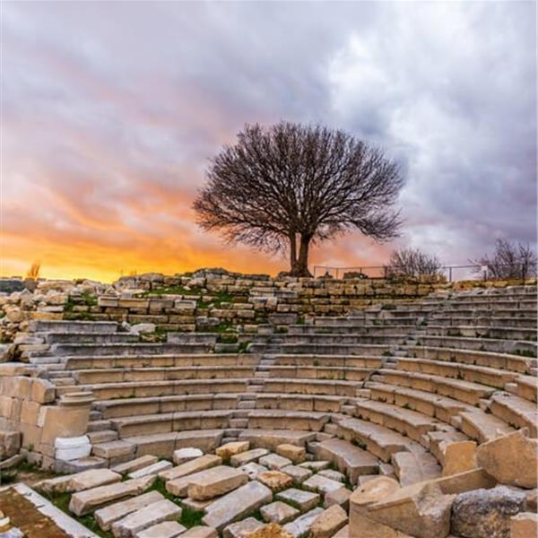 İzmir Çıkışlı Günübirlik Seferihisar Mandalina Festivali Turu.