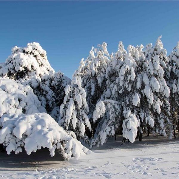 İzmir Çıkışlı Günübirlik Manisa Spil Dağı Turu