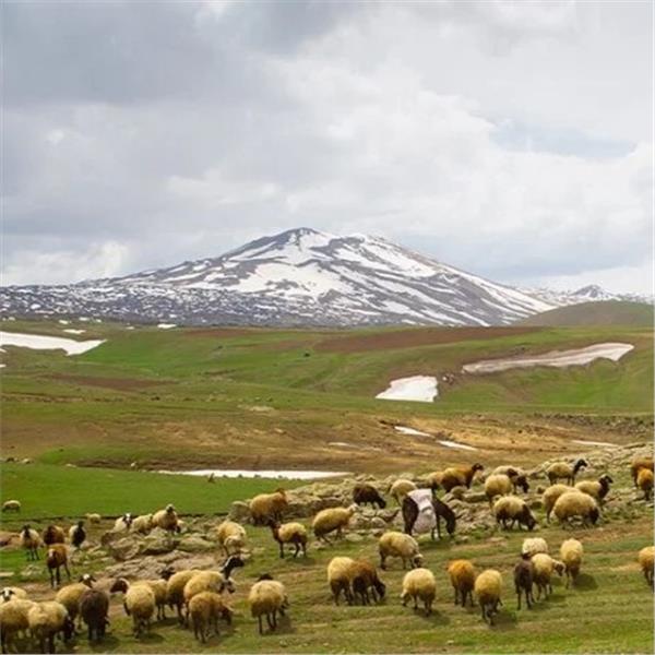 Sevgililer Günü Özel İzmir'den Uçak İle Turistik Doğu Ekspresi Tren Konaklamalı 3 Gece 4 Gün Doğu Ekspresi Turu