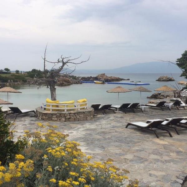 Çeşme Dodo Beach Gün Boyu Beach Kullanımı ile Kahvaltı veya Hamburger Menü
