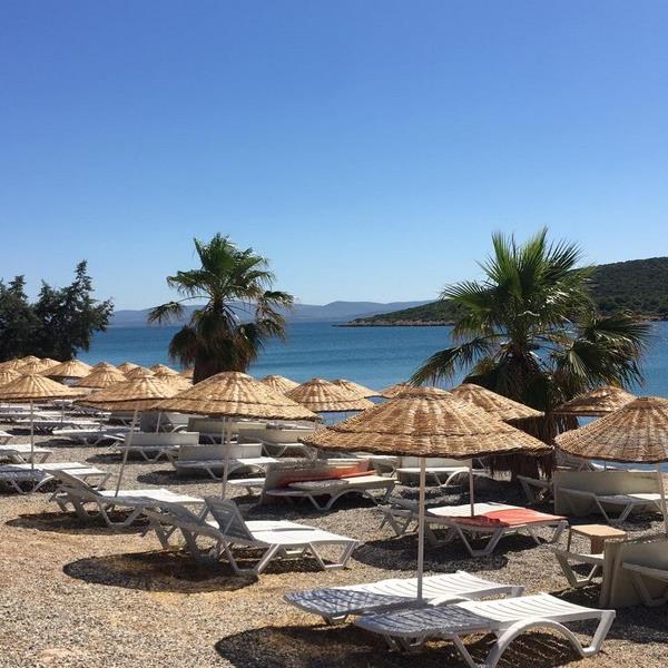 Çeşme Riva Del Mare Beach Şezlong, Şemsiye Gün Boyu Beach Kullanımı, İçecek ve Yemek Menü