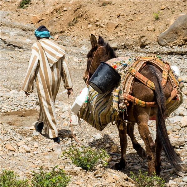 Uçak İle Çıkışlı 5 Gece 7 Gün Konaklamalı Vizesiz Mega Fas Turu