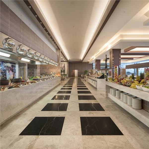 İzmir'den Uçak Kalkışlı 2 Gece 3 Gün Konaklamalı Kıbrıs Concorde Luxury Resort'ta Tarkan Yılbaşı Galası