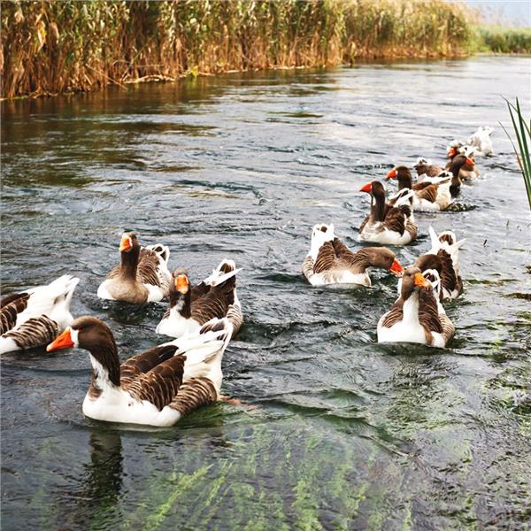 İzmir'den Kalkışlı 2 Gece 3 Gün Konaklamalı Fethiye Likya Tatili