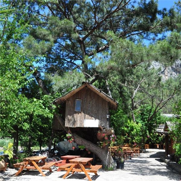 İzmir Çıkışlı 3 gece 4 gün Bungalow konaklamalı Olympos Tatil Turu. Kaputaj Plajı, Tekne Turu, Suluada, Phaselis, Adrasan ile Eğlence dolu bir tatil keyfi.