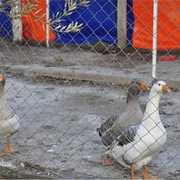 Eski Foça Kahvaltı