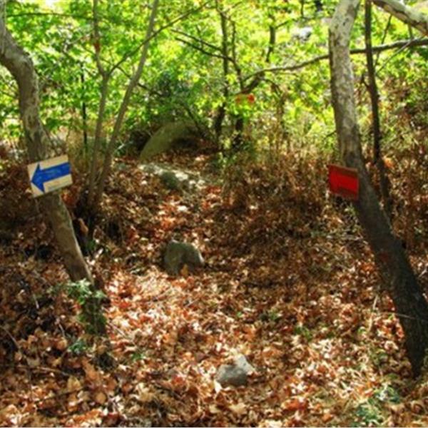 Homeros Adventure Doğa Sporları Merkezi’nde 50 Top Paintball ve Mangal Keyfi