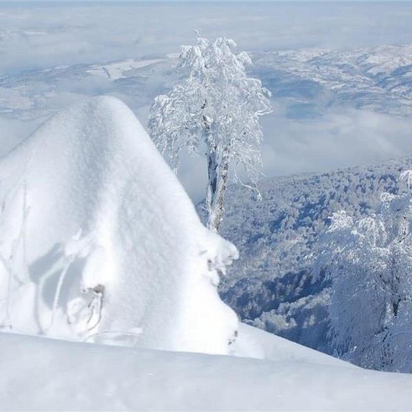 İzmir Çıkışlı Konaklamalı Bolu Abant, Maşukiye, Kartalkaya Kayak Turu