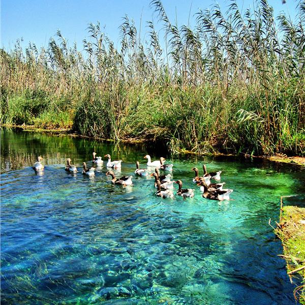 İzmir çıkışlı günübirlik Yuvarlakçay ve Akyaka Turu. Azmak plajında yüzme molası, Üstelik Tekne Turu ve sabah kahvaltısı Dahil.