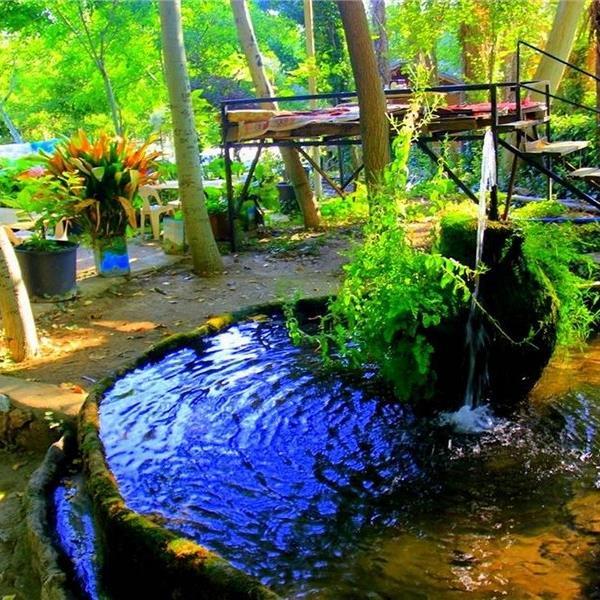 Tire Salı Pazarı Turu