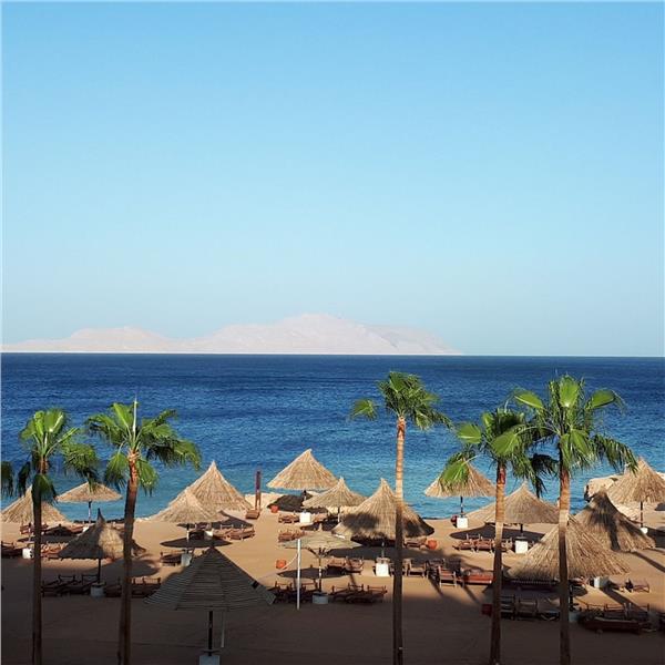 İzmir'den Uçak İle Hareketli 7 Gece 8 Gün 5 Yıldızlı Sheraton Sharm Hotel Konaklamalı Sharm El Sheikh Turu