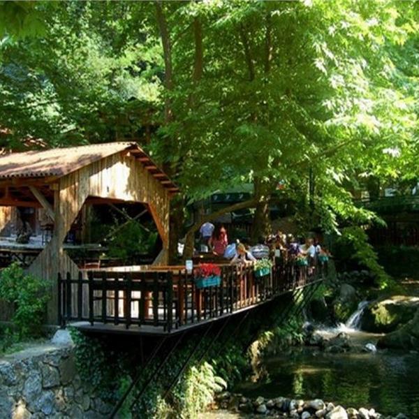 İzmir Çıkışlı Konaklamalı Bolu Abant, Maşukiye, Kartalkaya Kayak Turu