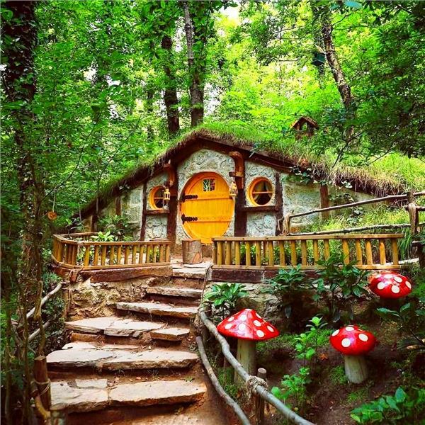 İzmir Çıkışlı 2 gece 3 gün Konaklamalı Şile, Ağva, Ormanya, Maşukiye, Abant, Sapanca Gölü, Yedigöller, Amasra ve Safranbolu ile Batı Karadeniz Turu